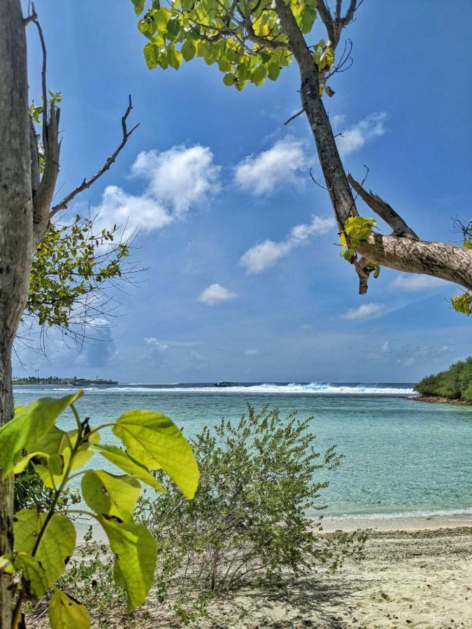 Отель Dhoadhi Retreat Тулусду Экстерьер фото