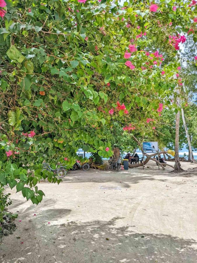 Отель Dhoadhi Retreat Тулусду Экстерьер фото